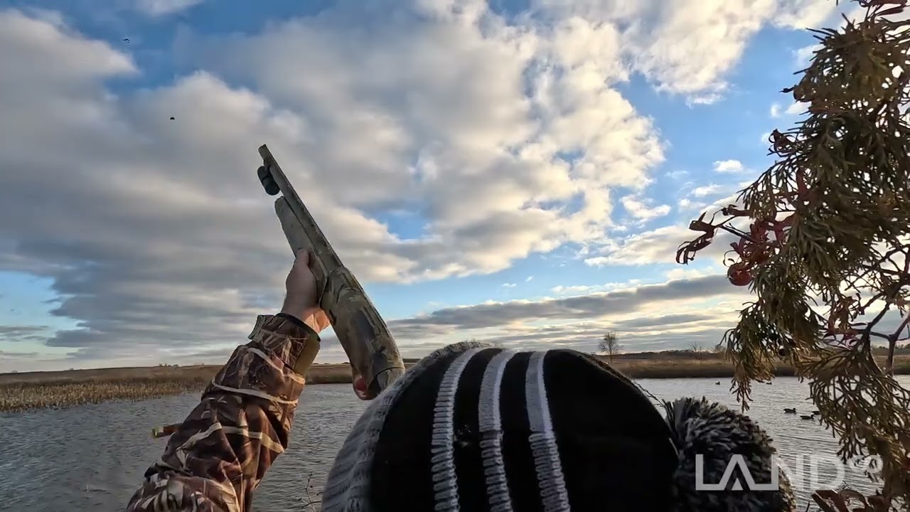 LandCo Duck Hunt 11.11.22 | GoPro 11 Black & Shotkam Waterfowl Hunt