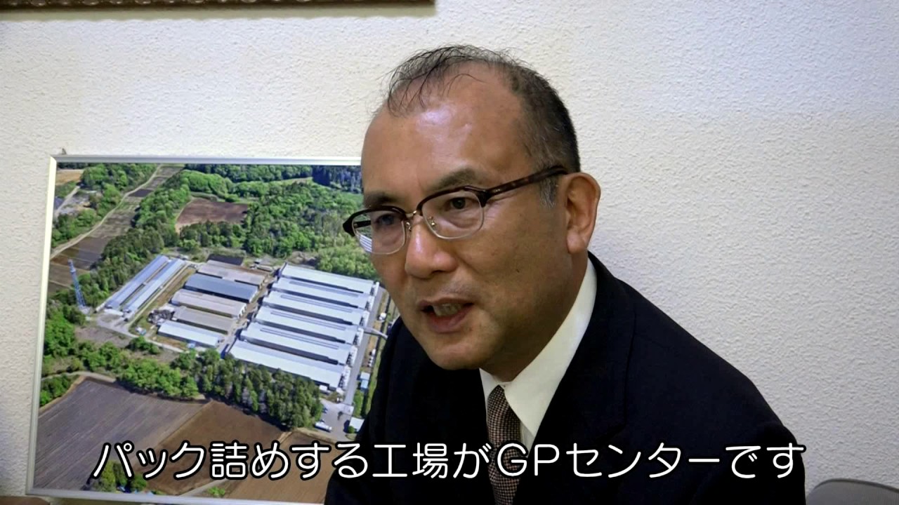 がんばる！畜産！１　たまごってどこからくるの？　30分