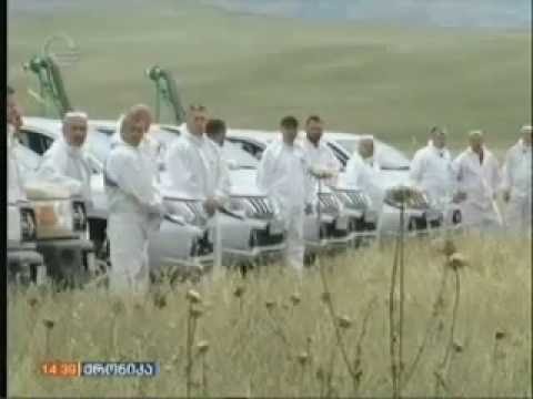 კახეთში კალიების საწინააღმდეგო ღონისძიებები ტარდება