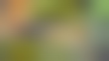 NEW!!! SCRIPT SKIN FANNY LIGHTBORN FULL EFFECT | VERSI ZARCHIVER