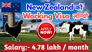 new zealand work visa from nepal | how to apply new zealand work visa online from nepal