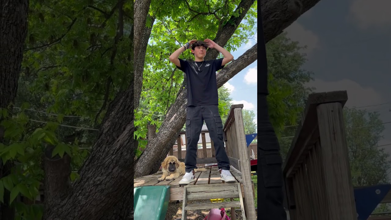 The real scared sunny 