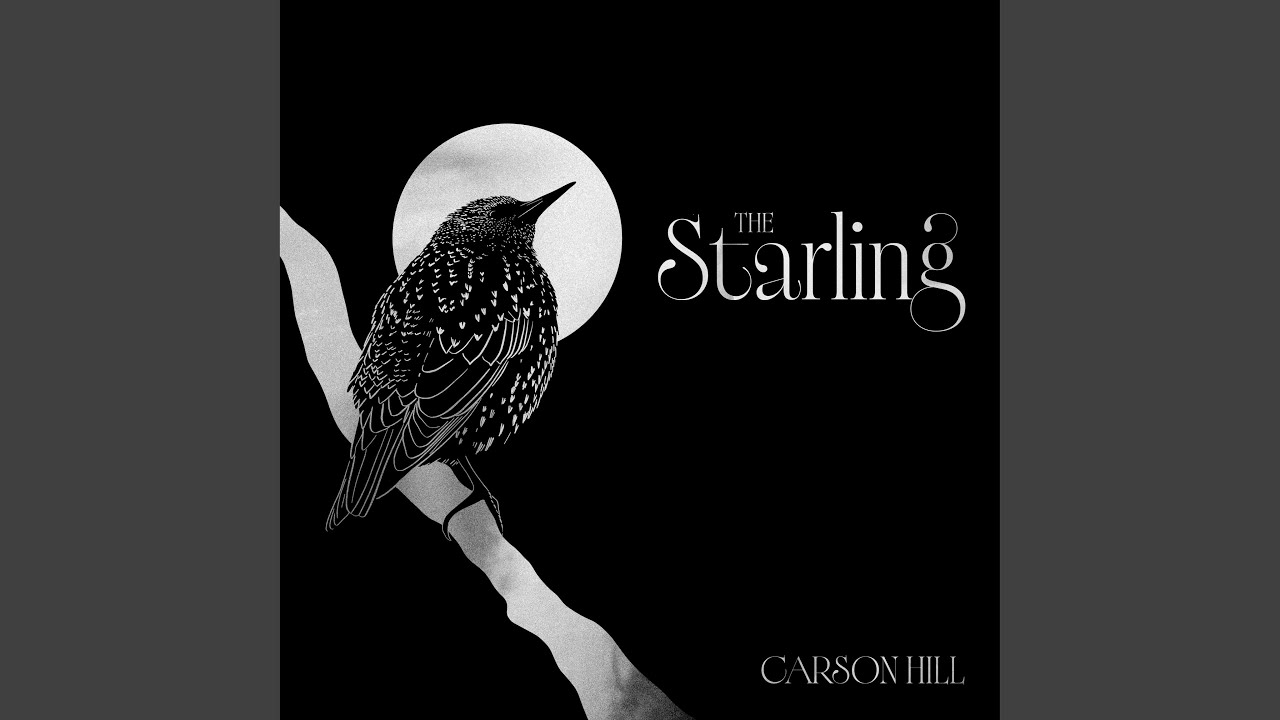 Watch The Starling on YouTube Watch The Starling on YouTube