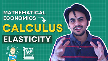 Elasticity Mathematical Insights - Price Elasticity & Log Derivatives