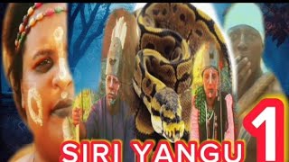 SIRI YANGU EPISODE #01.[BONGO MOVIES,SERIES]