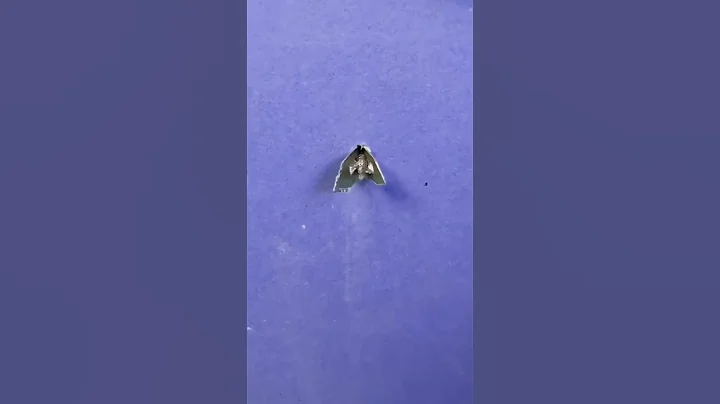 Simple and easy to use expansion screws #tools