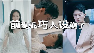 前妻人设崩塌，霸总追妻记