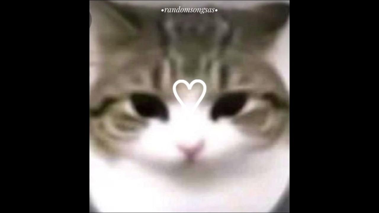 Napoleon s song speed up version. Napoleon s song speed up version