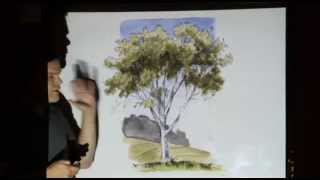 Drawing Trees by John Muir Laws
