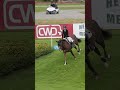 1.25 Speed Derby 2025 Lavender Hill #showjumping #equestrian #horseriding #langleybc