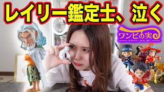 全てのレイリー好きとレイリー本人に捧ぐワンピの実第三海戦【ワンピース】【ガチャガチャ】【ガシャポン】