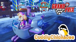 PAW Patrol Grand Prix: Ski Time | Track 12 | Win on HARD Mode! screenshot 3