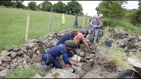 Dry stone walling for beginners