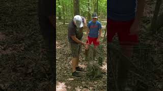 Coon trapping!