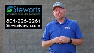 Professional Watering Guidelines for Utah Lawns