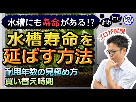 水槽にも寿命がある!?寿命を延ばす方法と買い替え時期・耐用年数の見極め方!