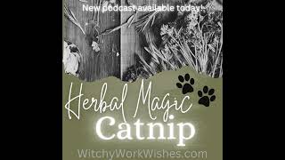 Herbal Magic - Catnip