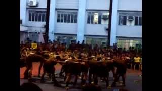 AMT Cheer Mechanics Batch 2012