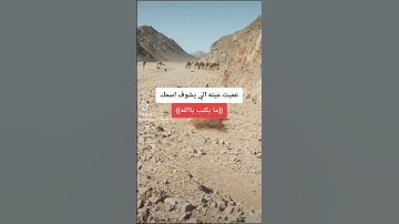 استمع القرآن الكريم واكتب ياالله.