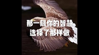201703 那一刻你的智慧选择了那样做22221