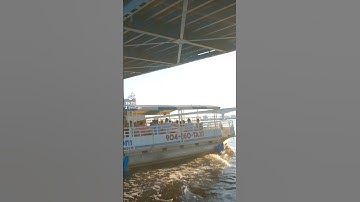 Why You Should Take a Tour in Jacksonville