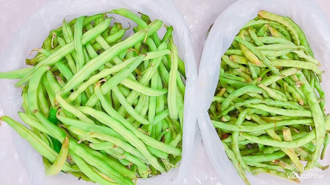 الفرق بين اللوبيا الخضراء والفاصوليا الخضراء مطبخ جنة الاحلام