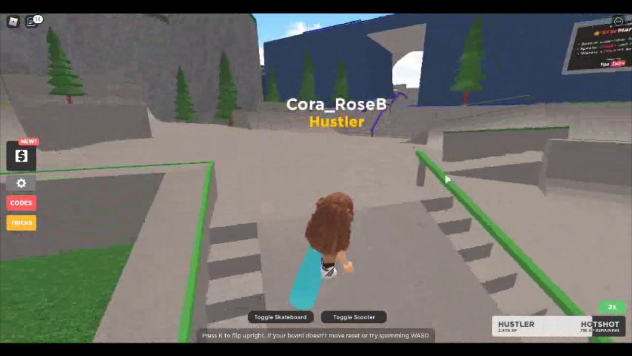 Roblox Skateboard park! YouTube