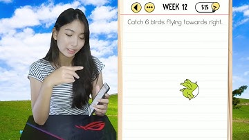 Brain Test Week 12 Walkthrough