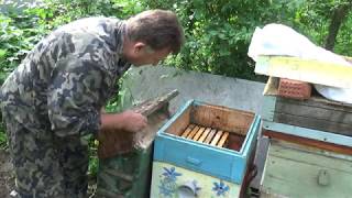 видео: Ловушка на земле, эксперемент удался картинка: Ловушка на земле, эксперемент удался