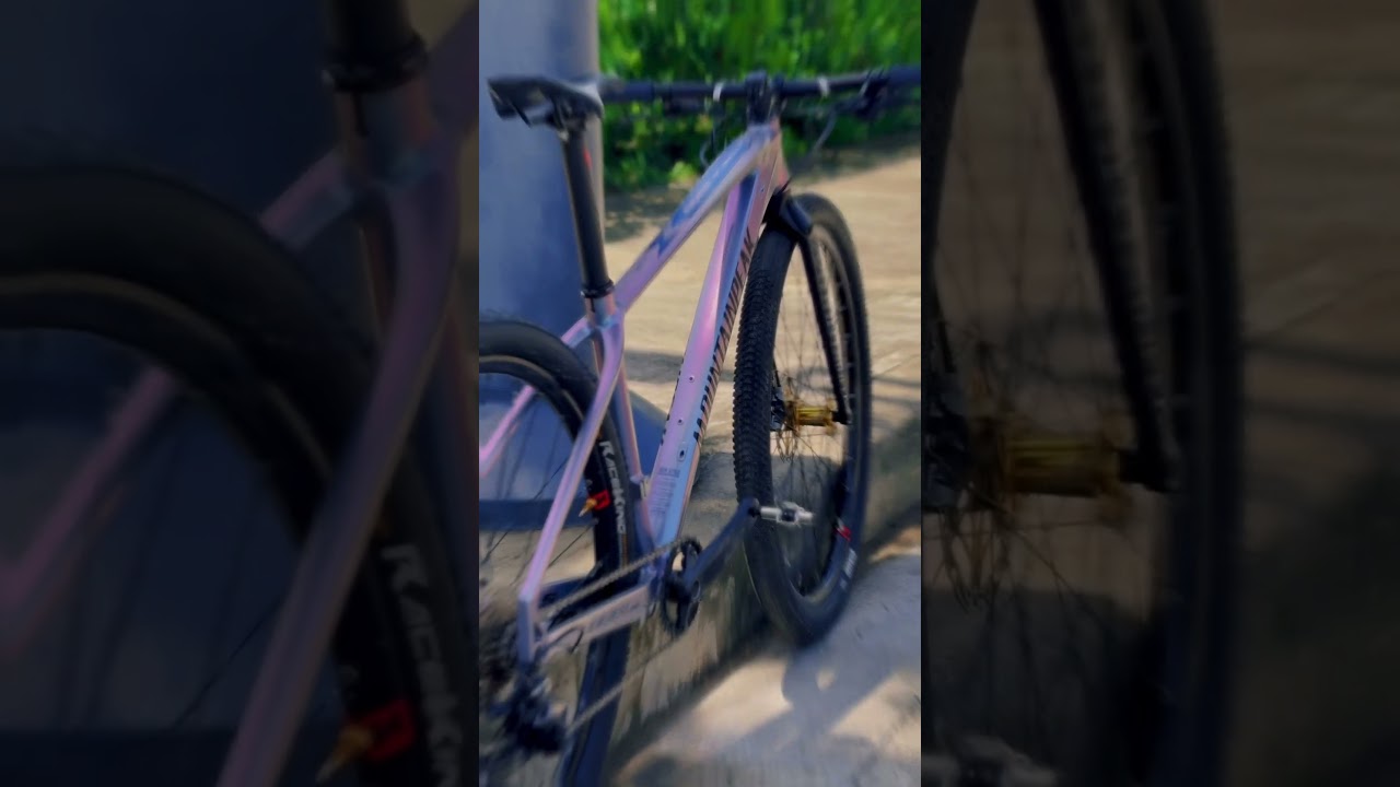 Chameleon | Mountainpeak Everest Pro ll 