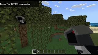 minecraft finally found a camera mod :) #shorts