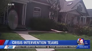 Crisis Intervention Teams