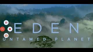 MedIaCorp than the top PIcks EntertaInment than the than top PIcks Drama S24 S44 S54 2024 Channel 5