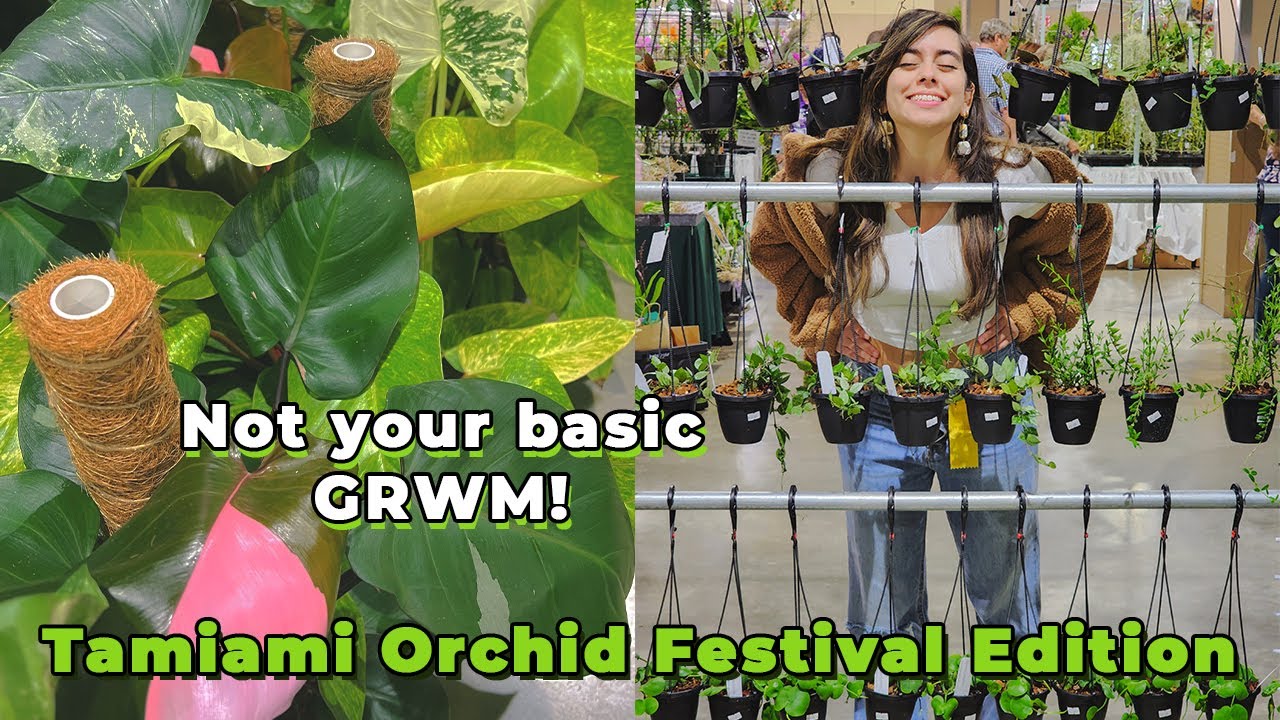 How we prepared for our first plant festival, vendor vlog | Tamiami International Orchid Festival