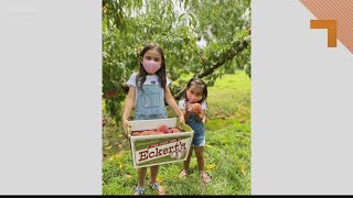 Apple picking season is back at Eckert’s!