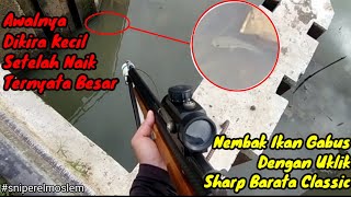 Nembak Ikan Gabus Awalnya Dikira Ikan Kecil Ternyata Setelah Naik Ikannya Besar