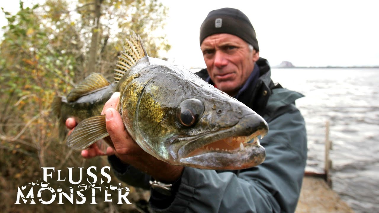 Der Mutantenfisch von Tschernobyl: Atomkiller | S5 E03 | Fluss Monster