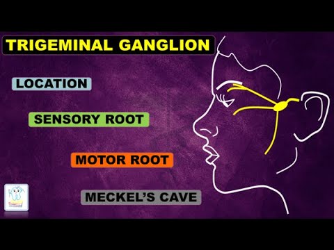 ट्राइजेमिनल गैंग्लियन और तंत्रिका