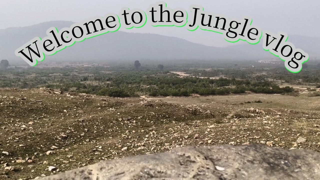 Jungle Ka Real Adventure | Dangerous Wildlife Experience