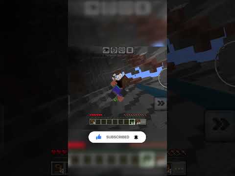 Me when I see a chickens #minecraft