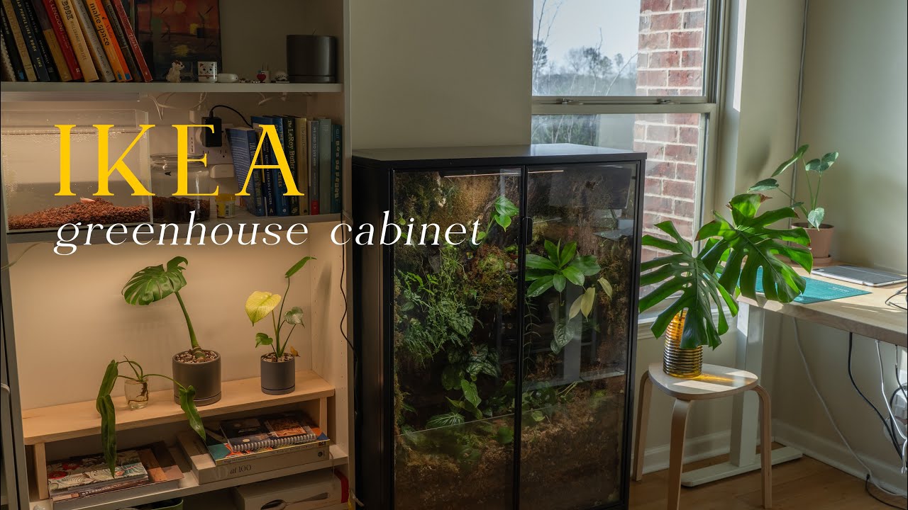 IKEA greenhouse cabinet | how to, my first terrarium build, updates