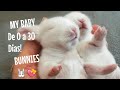 CONEJOS BEBES desde 0 hasta 30 dias.Cutest BABY Bunnies, Rabbits Compilation, first month growth. 🐰😍