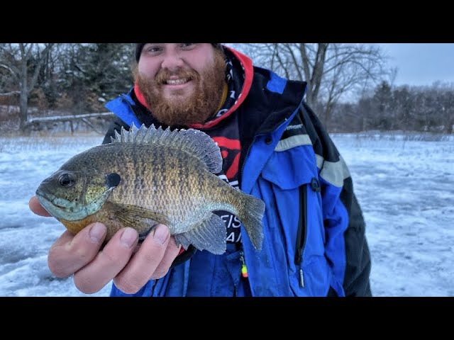 How to use Garmin Panoptix Livescope Ice Fishing - Forward and Down View  (Suspended Crappie) 