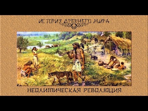 Неолитическая революция (рус.) История древнего мира.