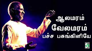 ஆல மரம் வேலமரம் பச்சை பசுங்கிளியே  | Senthuram | Unnikrishnan | Ilayaraja