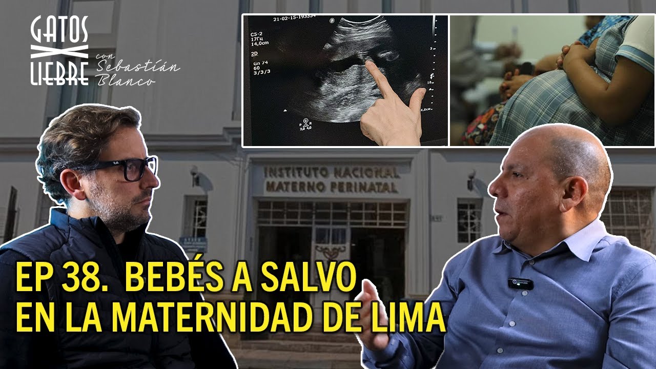 Gatos x Liebre | Episodio 38 Bebés a salvo en la Maternidad de Lima