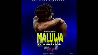 Maluwa _-_The relative Tribute _Braceehoo fresh (prod Casanova)