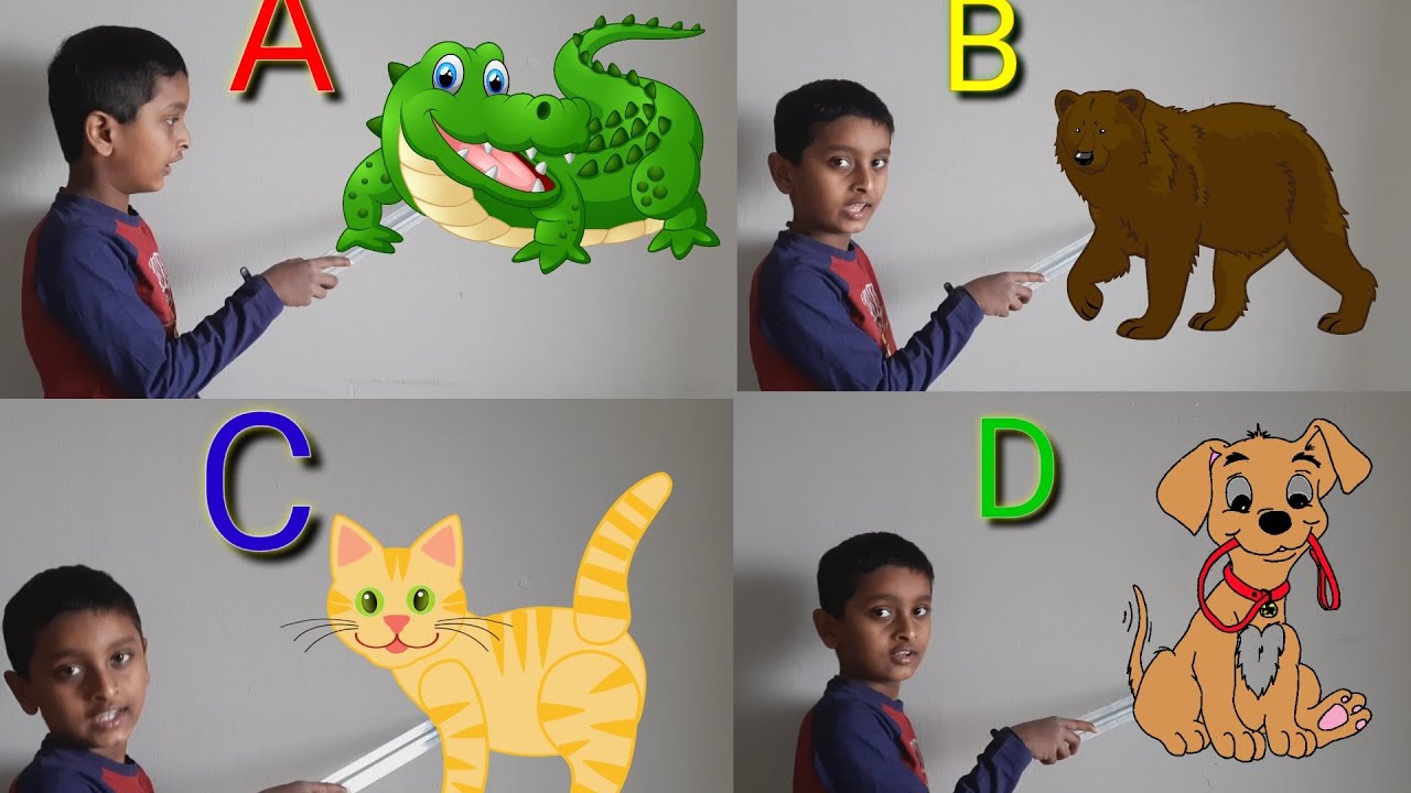 A for alligator, B for bear, C for cat, ABC song, A to Z, Alphabets ...