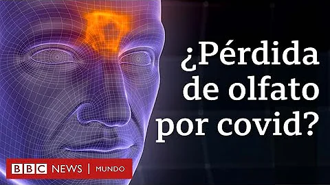 ¿Cuánto dura la pérdida de olfato?