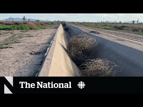 Drought leaves southwestern farmers feeling hung out to dry
